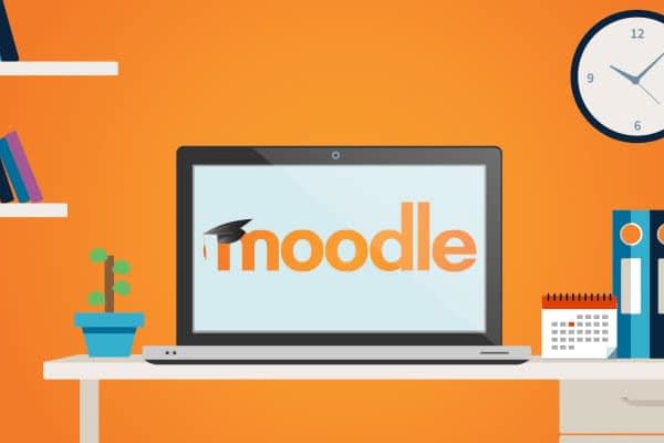Portfolio for Moodle e-Learning Website development