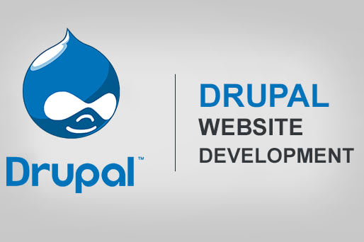 Portfolio for Drupal website development