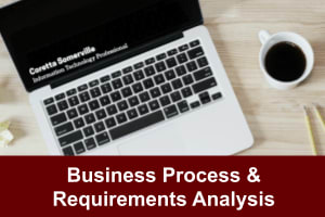 Portfolio for BUSINESS ANALYST - REQUIREMENTS ANALYST