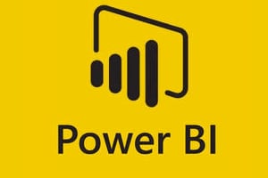 Portfolio for Power BI custom visual developer