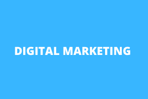 Portfolio for Digital Marketing Expert