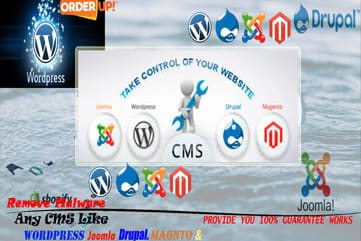 Portfolio for Remove malware joomla Drupal CMS