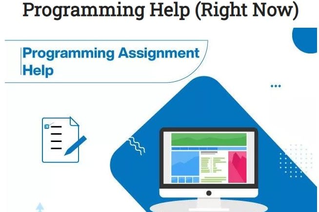 Portfolio for I do Programing & Programming Assignment