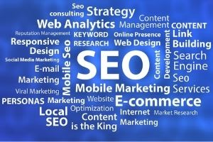 Portfolio for Search Engine Optimization /SEO Services