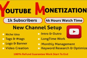 Portfolio for Youtube monitization services