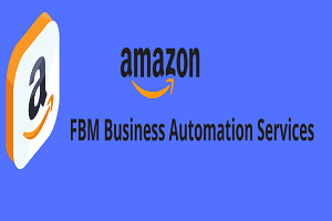 Portfolio for Amazon FBM Dropshipping Automation