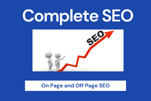 Portfolio for On Page and Off Page SEO Optimization