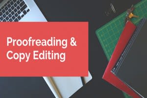 Portfolio for Proofreading, Copy Editing & SEO Article