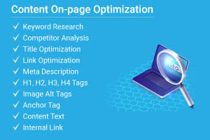 Portfolio for Content On-page Optimization