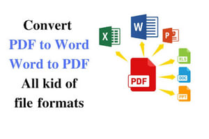 Portfolio for Data entry, PDF conversion