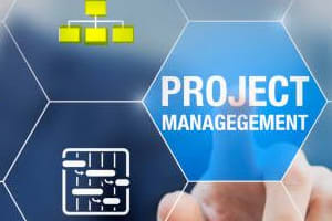 Portfolio for IT Project/Program Management