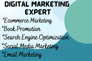 Portfolio for Digital Marketing, Ecommerce Marketing