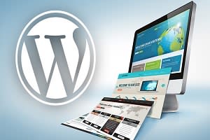 Portfolio for Web Development and WordPress website