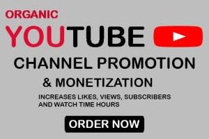 Portfolio for I will do fast organic YouTube promotion