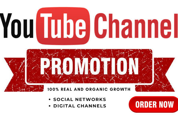 Portfolio for YouTube Promotion, Digital Marketing