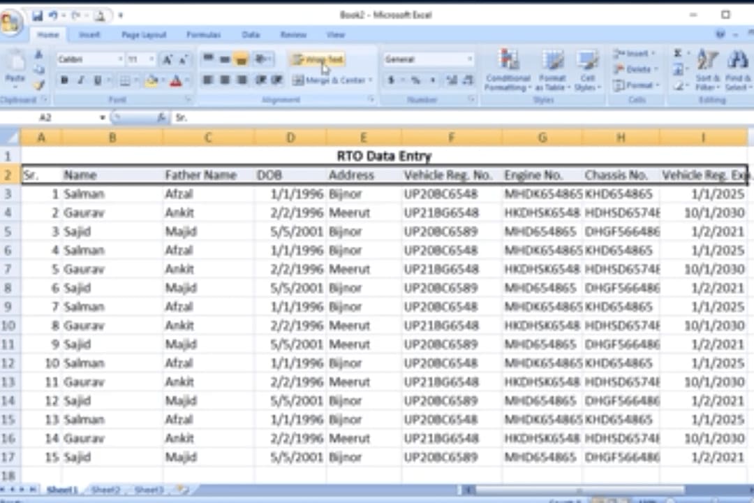 Portfolio for Data entry service