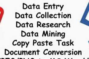 Portfolio for Data entry, form filling and copy paste