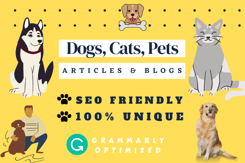 Portfolio for SEO Pet Articles and Blog Posts