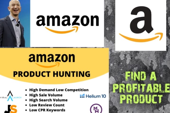 Portfolio for amazon product hunting