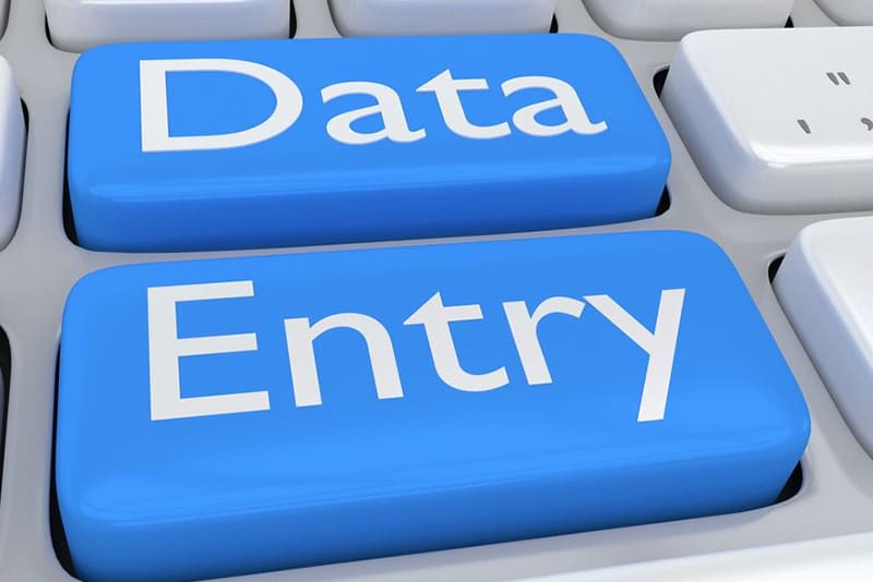 Portfolio for Data entry