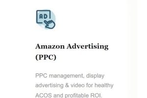 Portfolio for Amazon Advertising Services (PPC)