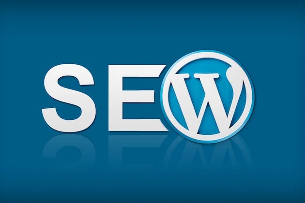 Portfolio for Wordpress SEO