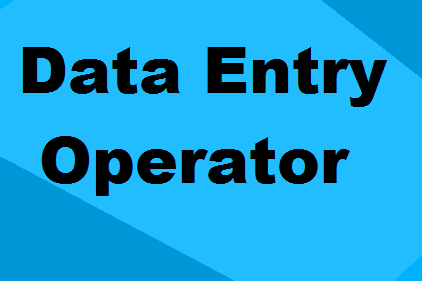 Portfolio for Data entry operator