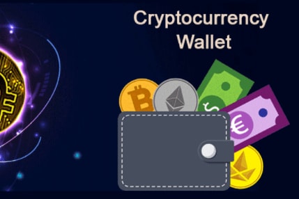 Portfolio for CryptoCurrency Wallet Solution