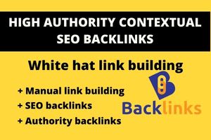 Portfolio for high authority contestual seo backlinks