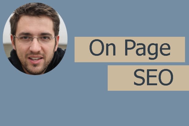 Portfolio for WordPress on-page SEO optimization