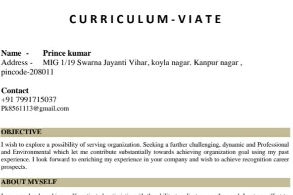 Portfolio for Data entry,  translate .