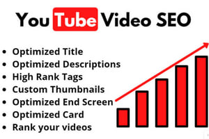 Portfolio for Youtube Video SEO for top ranking