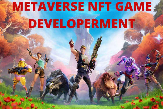 Portfolio for Metaverse NFT Game Development