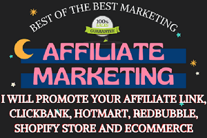 Portfolio for Affiliate Link Marketing And Promotion