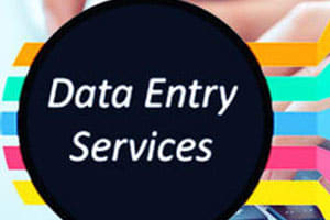 Portfolio for data entry, typing work.MS Office etc