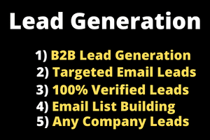 Portfolio for B2B Lead Generation, Email List Building