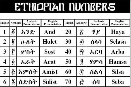 Portfolio for English to Amharic translator