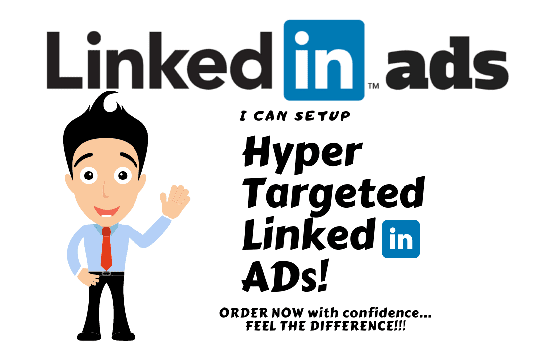 Portfolio for Setup hyper targeted linkedin ads