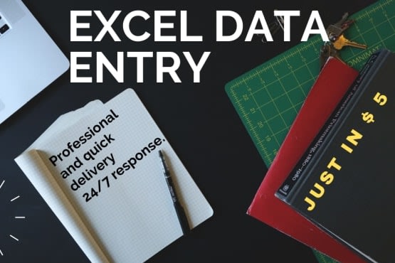 Portfolio for Microsoft Excel Data Entry