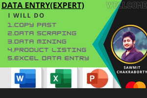 Portfolio for Data Entry (expert)