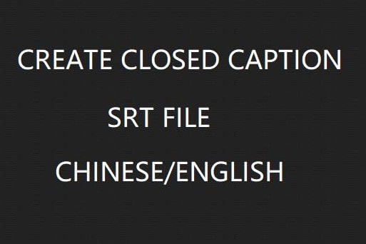 Portfolio for Chinese to English SRT file