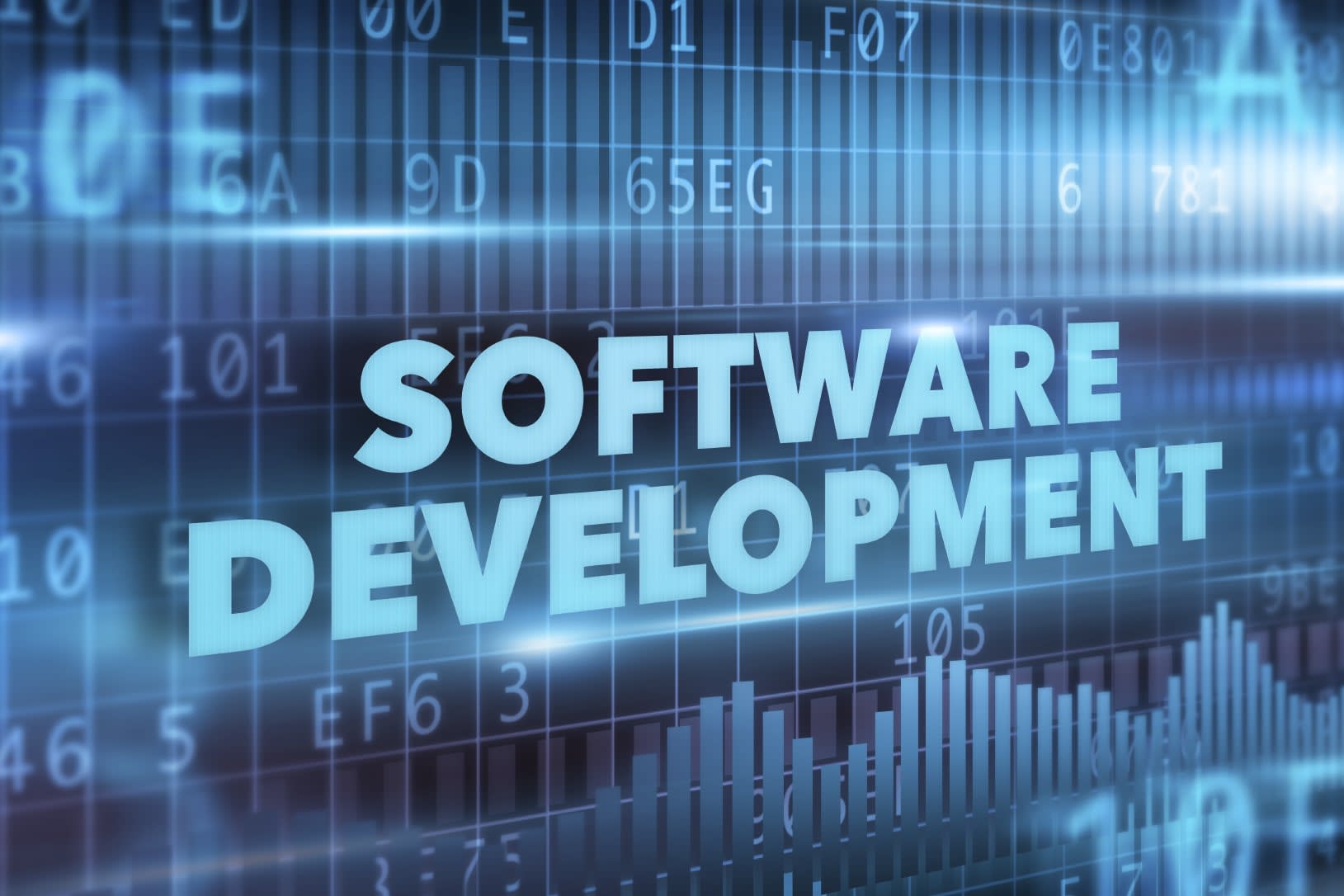 Portfolio for Software Development