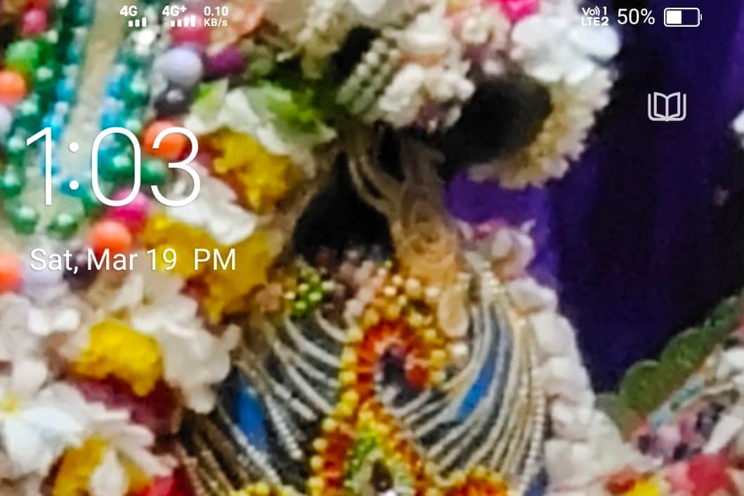 Portfolio for Data entry, translation