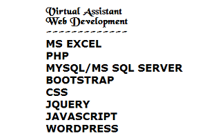 Portfolio for Virtual Assistant And PHP/MYSQL