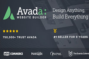 Portfolio for AVADA Theme Customizations