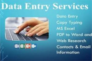 Portfolio for Data Entry & Typing (Copy Typing)