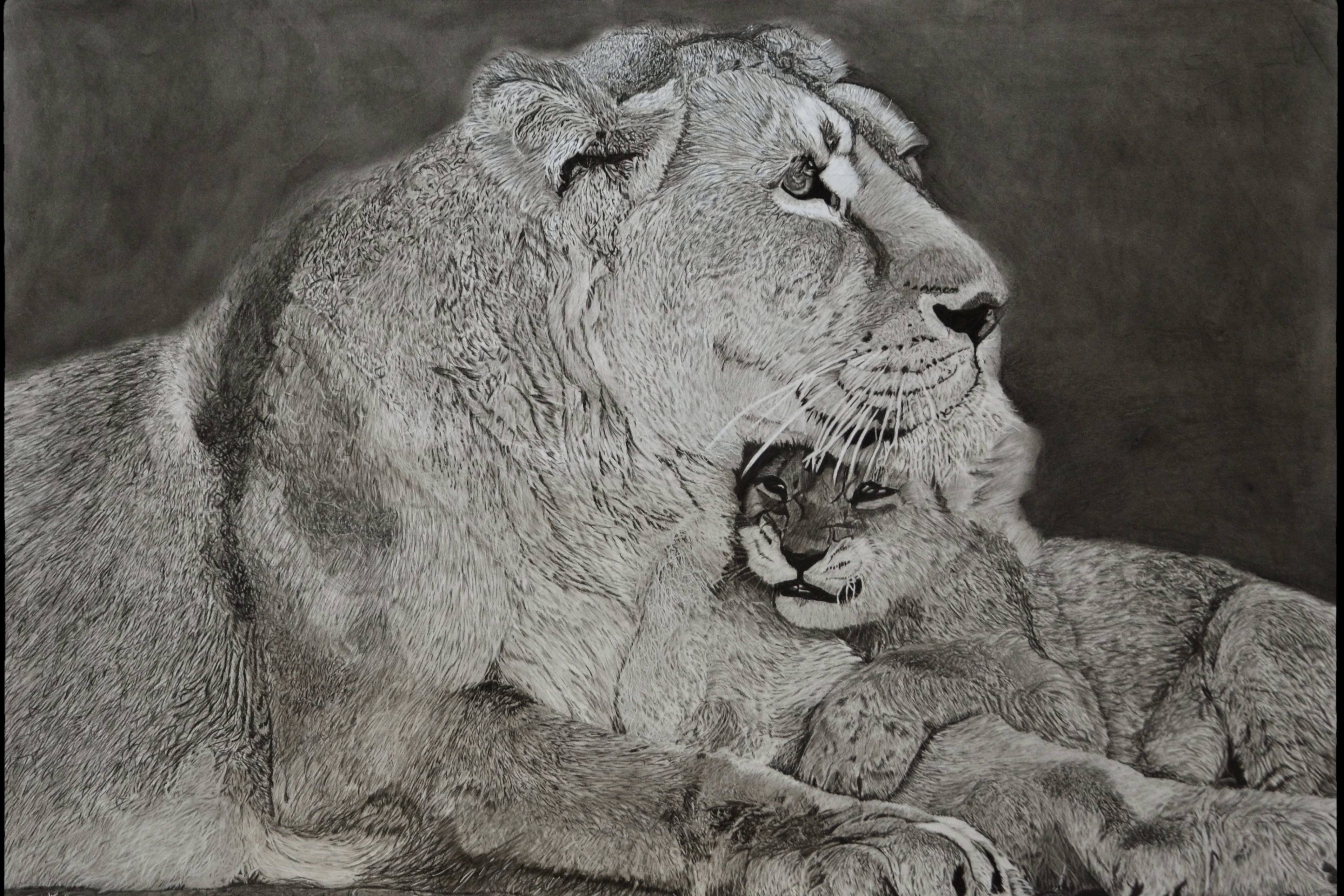 Portfolio for Pencil Drawing In charcoal and graphite