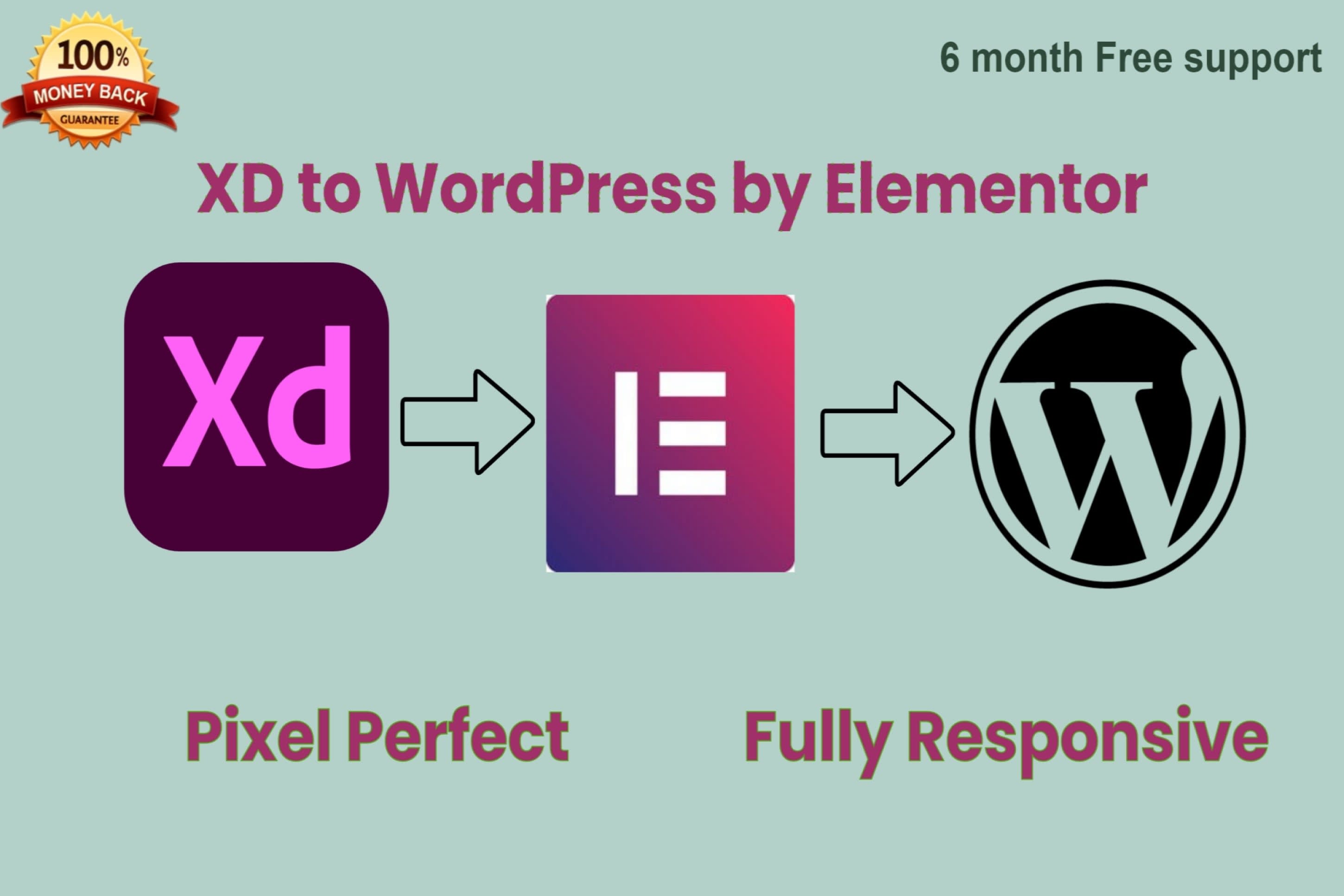 Portfolio for Convert Adobe XD to WordPress, Elementor