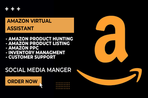 Portfolio for Amazon Virtual Assistant