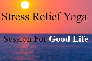 Portfolio for Stress Relief Yoga Session For Good Life